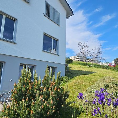 Lake View Private Studio Richterswil Eksteriør bilde