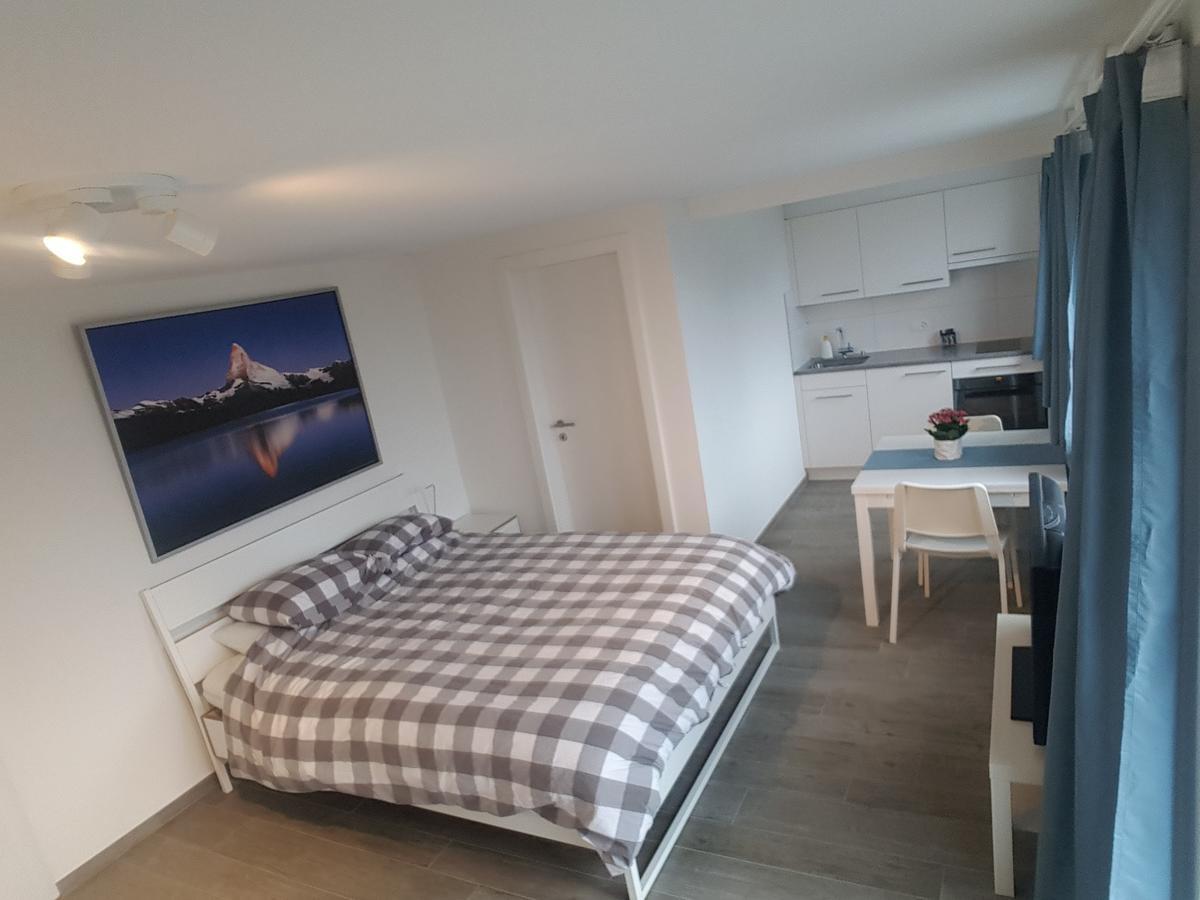 Lake View Private Studio Richterswil Eksteriør bilde