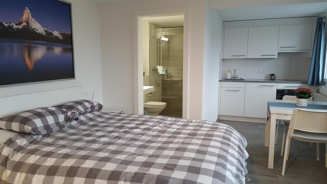 Lake View Private Studio Richterswil Rom bilde
