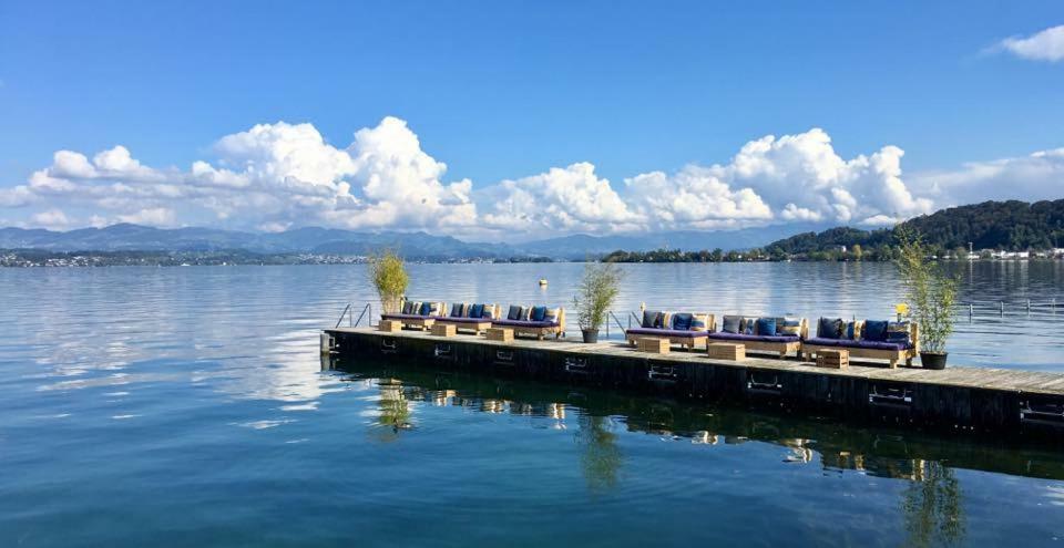 Lake View Private Studio Richterswil Eksteriør bilde