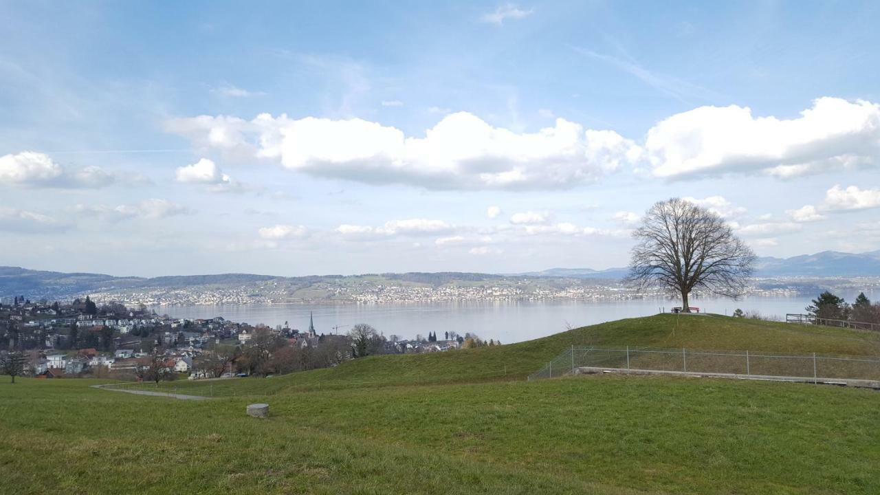 Lake View Private Studio Richterswil Eksteriør bilde