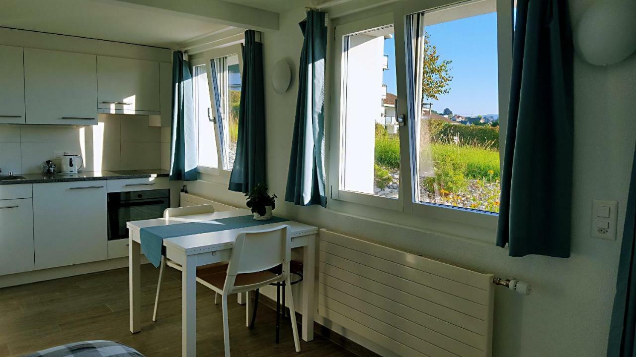 Lake View Private Studio Richterswil Eksteriør bilde